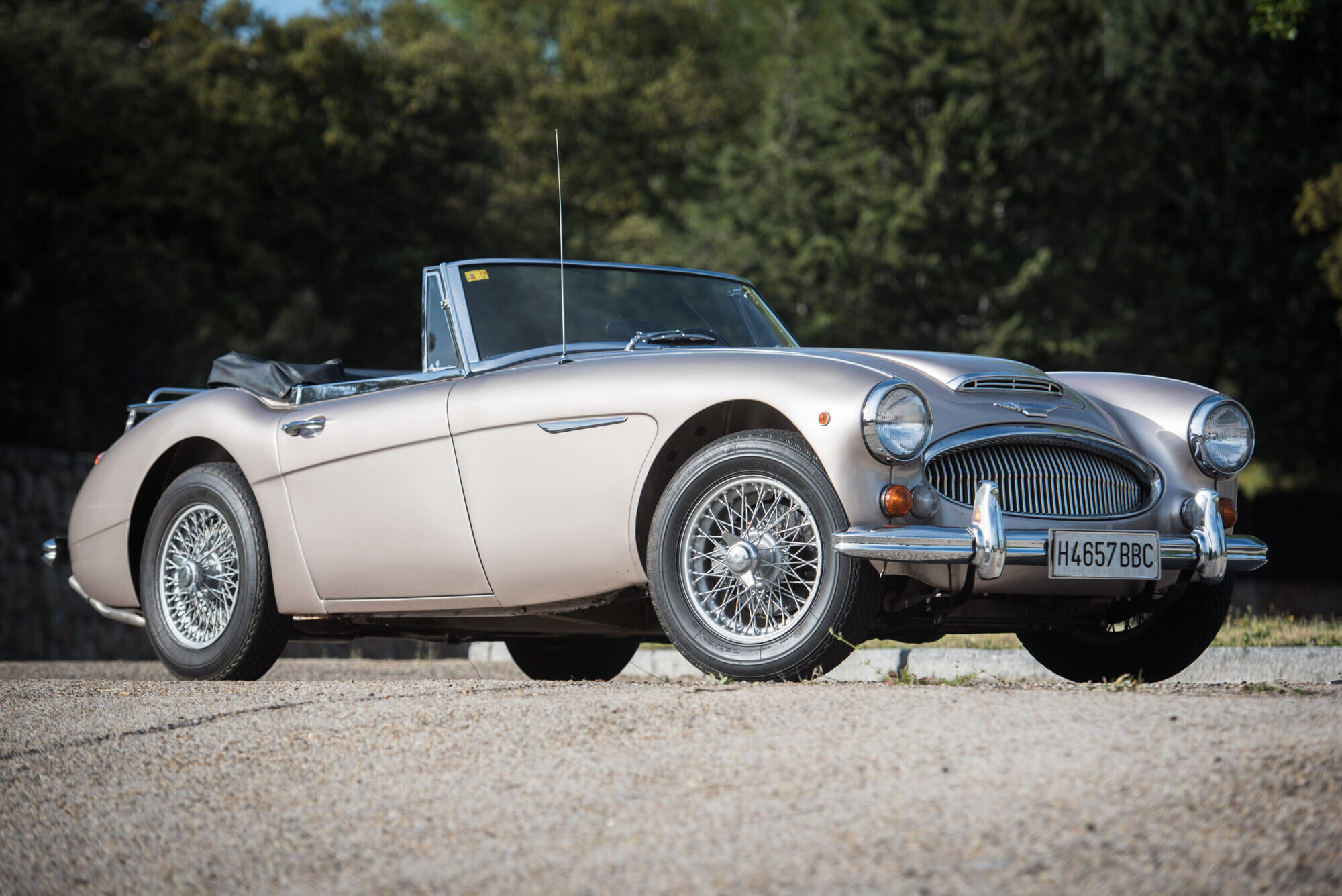 Austin Healey